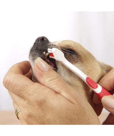 Beaphar Fresh Breath Toothpaste for Dogs and Cats Highly Appetizing No Rinse Removes Plaque Prevents Tartar Formation Fights Bad Breath 100g Tube - Buy Online on GoSupps.com