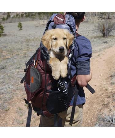 Buy Lumoleaf ReisenApf Portable Dog Water Bowl - 2L Foldable Pet Drinking Trinker - Easy Travel Solution for Dogs - Yellow - Buy Online on GoSupps.com