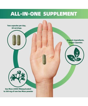 VITAMISTA Sea Moss Capsules 16-in-1 Sea Moss Supplement with Bladderwrack Burdock Root Black Seed Oil Ashwagandha Immune Support & Energy Booster 60 Vegan Capsules (19445mg) - Buy Online on GoSupps.com