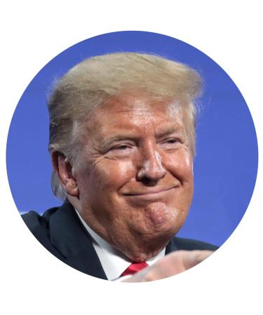 Urinal Fly Toilet Stickers 12 Pack - Trump Targets for 80% Cleaner Bathrooms! - Buy Online on GoSupps.com