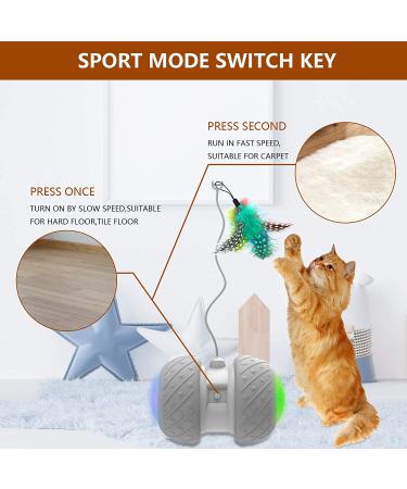 BENTOPAL Automatic Cat Feather Toy - Interactive Electric Exercise Toy for Indoor Cats & Kittens - Buy Online on GoSupps.com
