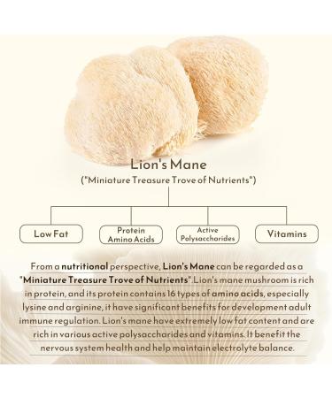 Bunkell Lion's Mane Capsules, 1,000mg Lions Mane Supplement Capsules for Brain Health Support, Mushroom Powder Extract for Focus, Cognitive & Immune Health Support, 120 Count - Buy Online on GoSupps.com