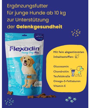 Flexadin Young Dog Maxi | For healthy joints in young dogs from 10 kg | with glucosamine chondroitin omega-3 devil's claw 60 joint treats - Buy Online on GoSupps.com
