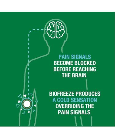 Biofreeze Pain Relief Patches - Day & Night Knee Back & Muscle Relief | FSA Eligible | 9 Menthol Patches - Buy Online on GoSupps.com