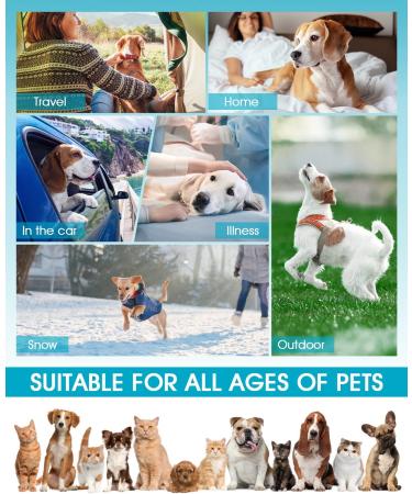 EASYSOAR Pet Grooming Wipes for Dogs & Cats - Disposable, Deodorizing, Hypoallergenic - No Rinse Puppy Grooming Wipes - Buy Online on GoSupps.com