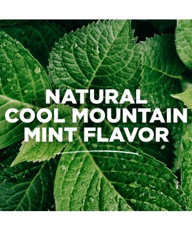 Buy TOMS OF MAINE Long Lasting Wicked Fresh Cool Mountain Mint Mouthwash 16 OZ - Natural Oral Care for Fresh Breath | International Shipping - Buy Online on GoSupps.com