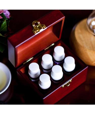 Favorites Sampler Wooden Box - 6 100% Pure Essential Oils for Aromatherapy | Therapeutic Grade | International Shipping - Buy Online on GoSupps.com