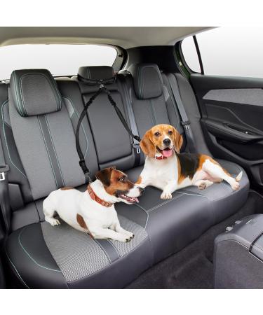 Deaguid Dog Seat Belts Double Dog Car Seat Belts Adjustable Elastic Dog Car Harness Puppy Car Seat Belt Puppy Car Harness (Black) - Buy Online on GoSupps.com