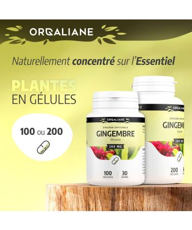 Ginger 280mg - 200 capsules - Buy Online on GoSupps.com