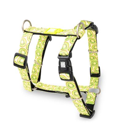 Max & Molly H -dishes - kiwi m m kiwi