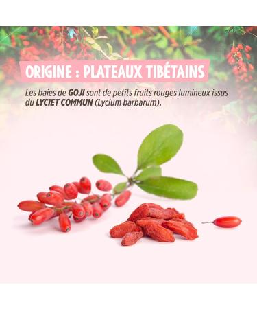  123gelules Goji Berries Greenfood Original Ningxia (Lycium Barbarum) 500g x 2 - Buy Online on GoSupps.com