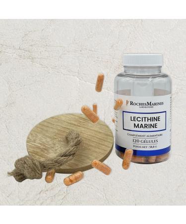 Roches Marines - Food Supplement Marine Lecithin - Memory and Concentration - Omega 3 in Phospholipid Form - 120 Capsules - Developed in France - Buy Online on GoSupps.com