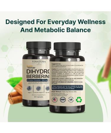 VINATURA Dihydroberberine Supplement with Ceylon Cinnamon 500mg - (Patented GlucoVantage Super Berberine) Maybe Berberine 5X More absorbable - 30 Capsules - Buy Online on GoSupps.com