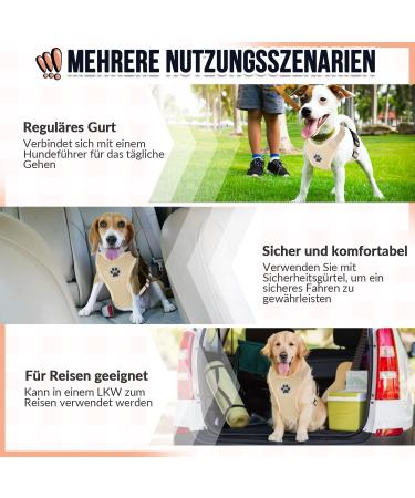 Slowton No-Pull Dog Harness for Small & Medium Dogs - Soft Padded Breathable Beige | International Shipping Available - Buy Online on GoSupps.com