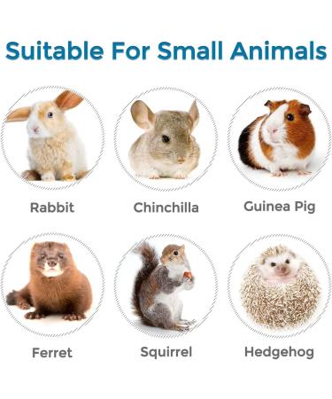 Vannon Top Fill Small Animal Water Bottle 30oz - No Drip BPA Free Dispenser for Rabbits, Guinea Pigs, Ferrets, Chinchillas, Squirrels, Hedgehogs - Grey - Buy Online on GoSupps.com