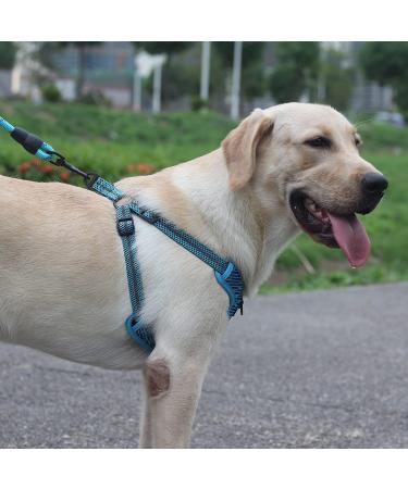 Suredoo Blue Dog Harness for Large Medium & Small Breeds - No Pull Reflective Breathable & Adjustable Safety Harness for Puppies & Pets - Buy Online on GoSupps.com