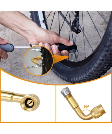 40-Part Bicycle Valve Adapter Set - All Valve Adapters for Air Pumps French Valve Adapters Ball Pump Needles & Sorting Box | SV AV DV PV Extenders - Buy Online on GoSupps.com