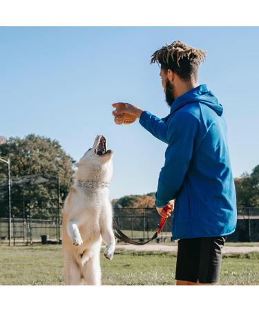 Laroo Dog Toys - Durable Squeaker Dog Ball for Small & Large Dogs | Natural Rubber Football Perfect for Playtime! - Buy Online on GoSupps.com