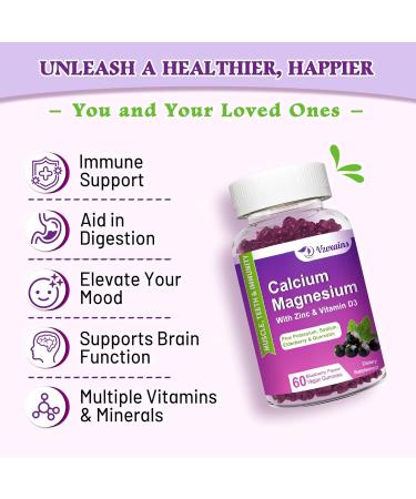 High Absorption Calcium Gummies Calcium Magnesium Zinc with Magnesium Glycinate Potassium Vitamin D3 for Women & Men- Blueberry Flavor 120 Cts Blueberry 60 Count (Pack of 2) - Buy Online on GoSupps.com
