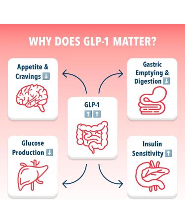 Bye-Bye Carbs - Carb Blocking Drink Mix - Fight Cravings Feel Full Longer & Support Digestion Sugar-Free & Keto Friendly - Strawberry Kiwi - Buy Online on GoSupps.com