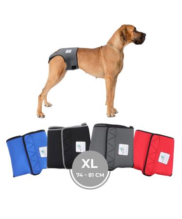 Sailing trousers for bitches 2.0 - dog diapers made of high -quality perforated neoprene for an optimal air exchange - dog diapers for male without the annoying threading of the rod (XL -gray) XL gray - Buy Online on GoSupps.com
