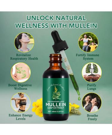 Mullein Leaf Extract Mullein Leaf Drops Lung Aid and Purifier Sublingual Liquid-Healthy and Vegan Lifestyle 2 Bottle - Buy Online on GoSupps.com