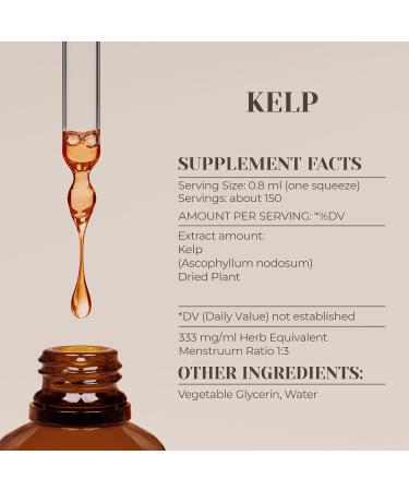 Kelp Alcohol-Free Natural Tincture Extract, Immune System Booster, Liquid Drops Made from 100% (4 fl oz) 4 Fl Oz (Pack of 1) - Buy Online on GoSupps.com