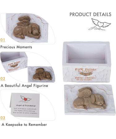ACTLATI Engraved Resin Pet Urn for Dogs Ashes - Hand-Crafted Cremation Memorial Keepsake Box - Buy Online on GoSupps.com