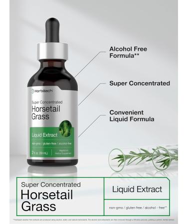 Horb ach Horsetail Herb Liquid Extract | Alcohol Free | 2 fl oz | Vegetarian Non-GMO & Gluten Free Supplement - Buy Online on GoSupps.com