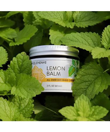 Four Elements Lemon Balm Face Moisturizer Cream - 2 Oz | Herbal Face Cream with Organic Lemon Balm Chamomile Shea Butter & Vitamin E | Body Hydrating Moisturizer Beauty Essential - Buy Online on GoSupps.com