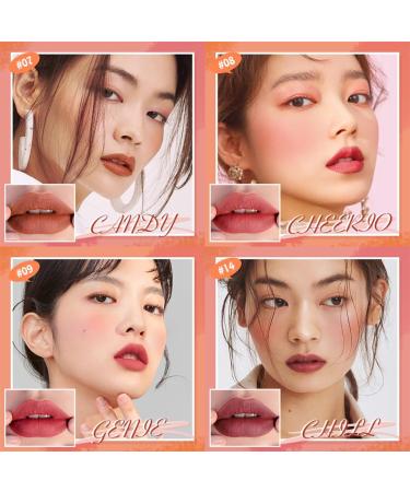 drburpily Matte Lipstick Long Lasting Smudge Resistant Blusher Lip Mud Makeup for Dual Use Type 4 - Buy Online on GoSupps.com