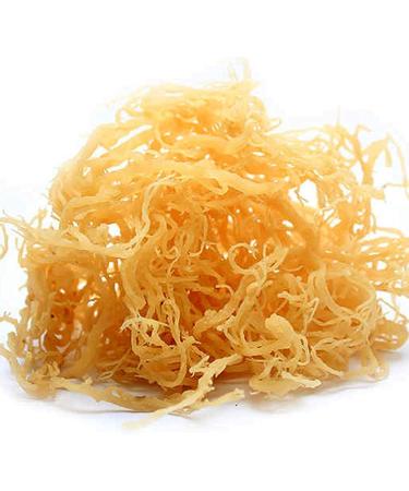  al badil Wild Golden Sea Moss - 100% Natural Superfood - Golden Sea Moss: The magic ingredient for a healthy and balanced life (50g) - Buy Online on GoSupps.com