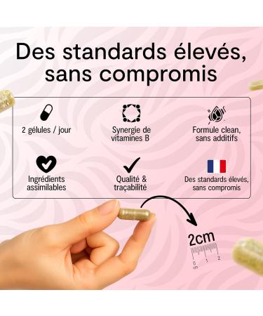 Cure Cheveux Ab m s Levure de bi re Zinc Vitamines B1 B3 B5 B6 B8 B9 B12 Compl ment Alimentaire - 1 mois 60 g lules Fabriqu en France Young Hair - Buy Online on GoSupps.com