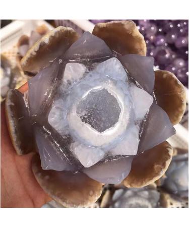 Natural Agate Geode Crystals Feng Shui Druzy Gemstones Quartz Water Lotus Ornament for Home Decoration ZJGIDTEM 1pc - Buy Online on GoSupps.com