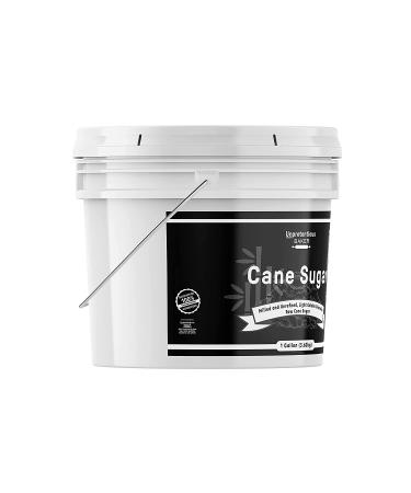 Unpretentious Baker 1 Gallon Raw Cane Sugar - Extra Fine Granulated, Ideal Kitchen Baking Staple - Buy Online on GoSupps.com