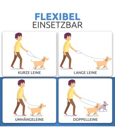 Happyshephie Adjustable Dog Leash 2.5m - Robust Reversal Leash for Medium & Large Dogs - Arctic Blue - Perfect for International Shipping - Buy Online on GoSupps.com