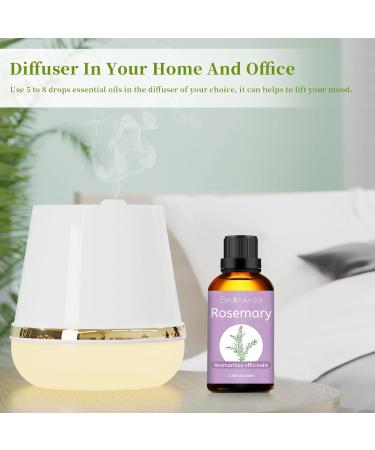 Rosemary Peppermint Essential Oil Peppermint Essential Oil For Aromatherapy & Diffuser Gift Set 2PCS 100% Pure Premium Oils - Rosemary Essential Oils For Soap/Candle Making Bath Perfume - 2 X 100ML - Buy Online on GoSupps.com