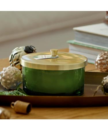 Thymes Frasier Fir Heritage 4-Wick Candle Luxurious Holiday Candle with Siberian Fir Cedarwood & Sandalwood 21oz Green Scented Candle for Home Fragrance International Shipping Available - Buy Online on GoSupps.com