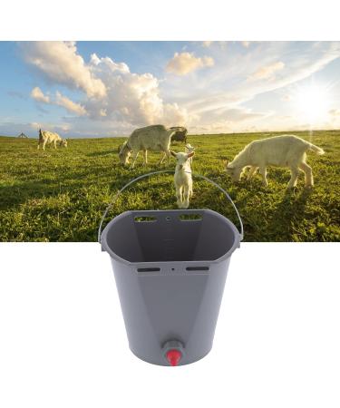 Advanced 8L Livestock Feeder Bucket - Durable & Easy - To - Install Feeding Solution for Farm Animals(#2) - Buy Online on GoSupps.com