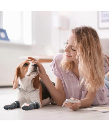 Reginary 16-Piece Anti-Slip Dog Socks for Small to Medium Dogs - Traction Control Skid for Hardwood Floors - Medium Size - Buy Online on GoSupps.com