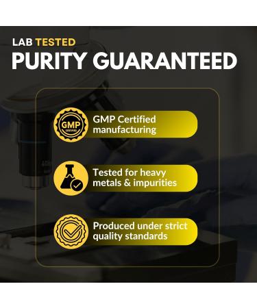 HOLIVANCE Himalayan Shilajit Capsules 500mg | 10:1 Purified Extract with Fulvic Acid & Trace Minerals | Vegan Non-GMO Gluten-Free | Herbal Dietary Supplement 60 Veg Capsules - Buy Online on GoSupps.com