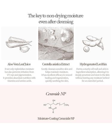 Bueno+ Pure Moonlight Rose Floral Cleanser | Anti-Aging Gentle Face Wash with Rose Petals for All Skin | Exfoliating and Moisturizing | Vegan Gel Rich in Antioxidantsl 2.7, Fl Oz 2.7 Fl Oz (Pack of 1) 2.7 - Buy Online on GoSupps.com