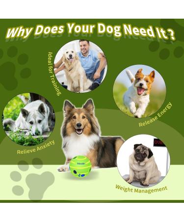 Buy Dauchgoe 5.11 Dog Toys Ball - Interactive Squeaky Training Toy for All Dogs - Durable Teeth Ball - Ships Internationally - Buy Online on GoSupps.com