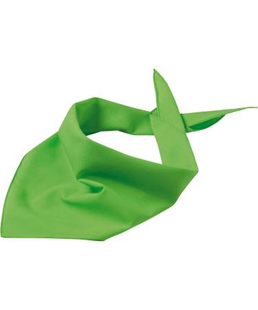 Schnoschi Dog Scarf - Personalized Light Green Dog Scarf with Embroidered Name - Buy Online on GoSupps.com
