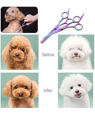 Professional 8 Pcs Hair Cutting Scissors Kit - Stainless Steel Shears Set for Barber & Pet Grooming - Thinning/Texturizing Scissors, Razor Comb Clip - Home Salon Use - Buy Online on GoSupps.com