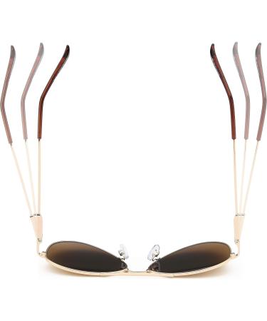 Shop Aviator Sun Readers - Stylish UV400 Sunglasses for Men & Women | Dark Brown & Grey Reading Glasses for Travel - Buy Online on GoSupps.com