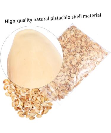 COHEALI 1 Pistachio Shell Kids Crafts Kids DIY Craft Charms Material DIY Accessory Child Decorate Self Made As Shown 2X1.2CM - Buy Online on GoSupps.com