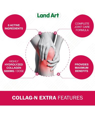 Liquid Collagen Extra Supplement Complete Joint Care Formula Fast Action With Hydrolyzed Collagen Glucosamine Chondroitin MSM Two Natural Anti-Inflammatory Magnesium & Vitamin C - 500ml Non-GMO Gluten Free No Added Sugar - Made in Canada - Buy Online on GoSupps.com