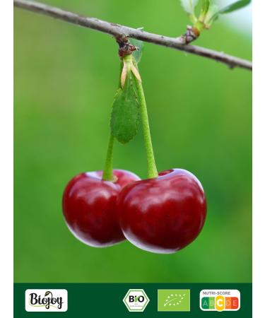  Biojoy Biojoy Organic dried cherries (1 kg) whole without stones and sulfur - Buy Online on GoSupps.com