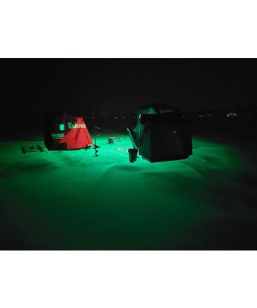 Green Blob Outdoors New Underwater LED Fishing Light 15000 Lumens 12V  Battery Powered with Alligator Clips Fish Light Attracting Snook Crappie  for Boats, Made in Texas 30ft Cord
